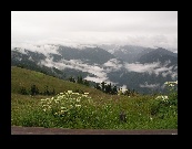 The view from Hurricane Ridge in Olympic National Park